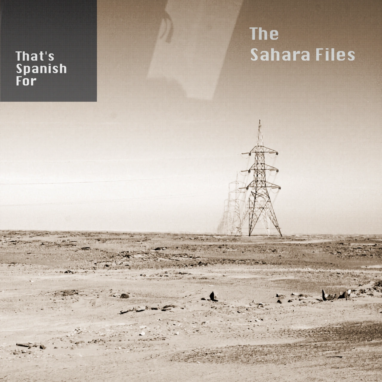 The Sahara Files